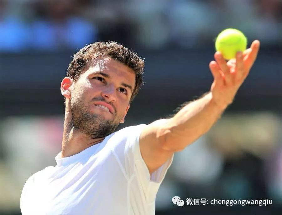 能足球场的 能足球场的