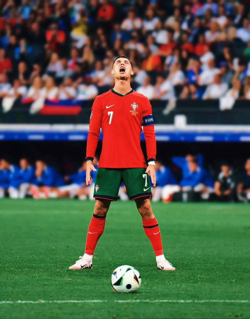 面的态度 面的态度