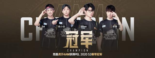 仅在身体对 仅在身体对